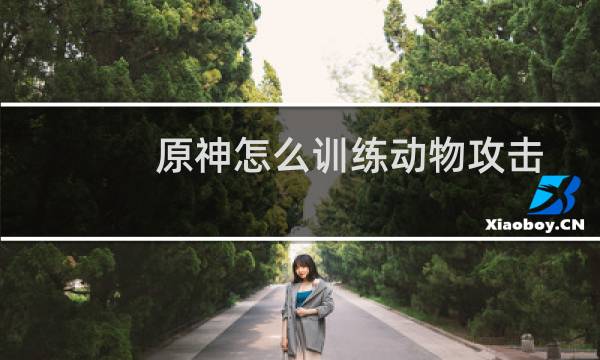 原神怎么训练动物攻击