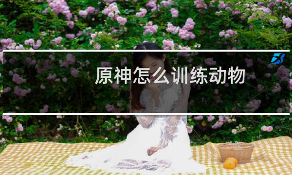 原神怎么训练动物