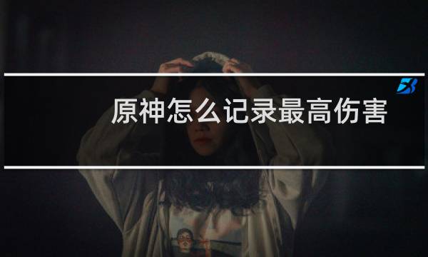 原神怎么记录最高伤害