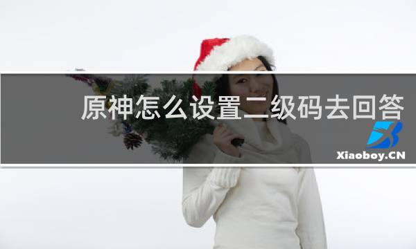原神怎么设置二级码去回答
