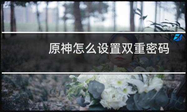 原神怎么设置双重密码