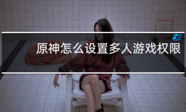 原神怎么设置多人游戏权限