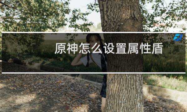 原神怎么设置属性盾