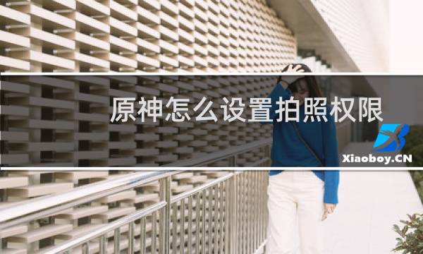 原神怎么设置拍照权限