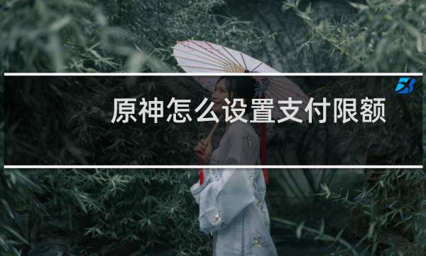 原神怎么设置支付限额