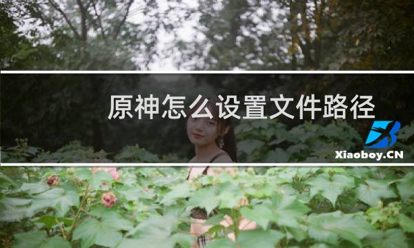 原神怎么设置文件路径