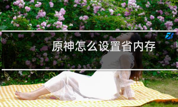 原神怎么设置省内存