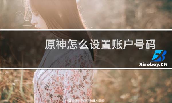 原神怎么设置账户号码