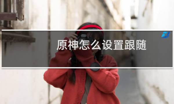 原神怎么设置跟随