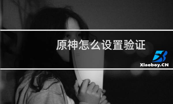 原神怎么设置验证