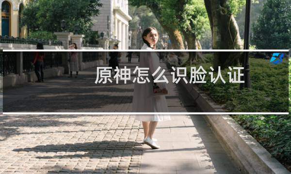 原神怎么识脸认证