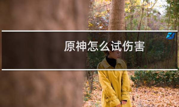 原神怎么试伤害