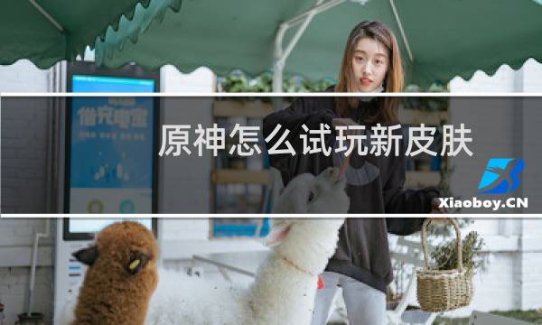 原神怎么试玩新皮肤