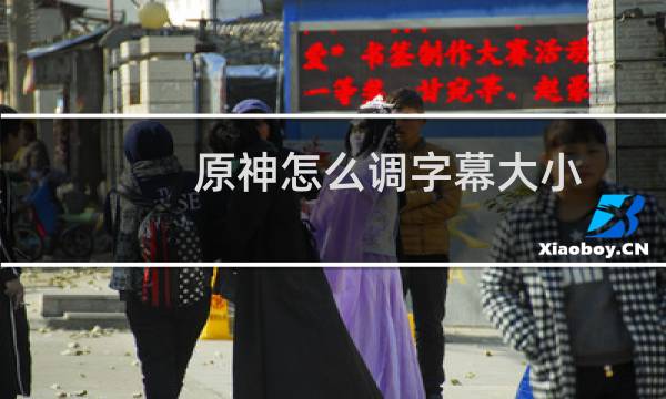 原神怎么调字幕大小