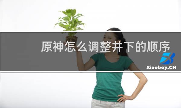 原神怎么调整井下的顺序