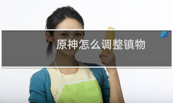原神怎么调整镇物