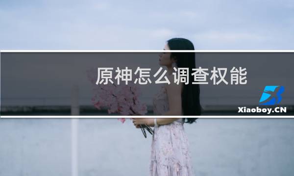 原神怎么调查权能
