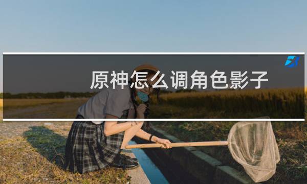 原神怎么调角色影子