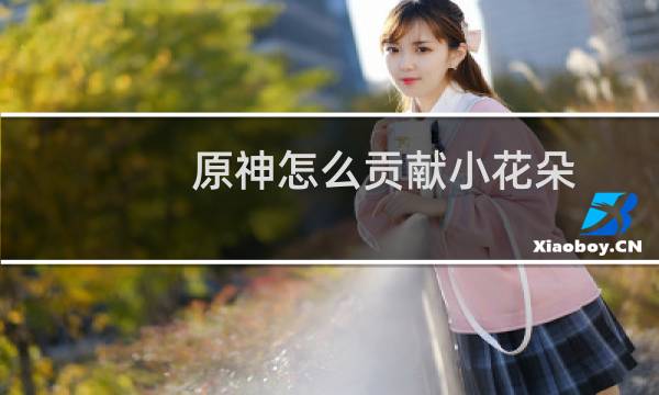 原神怎么贡献小花朵