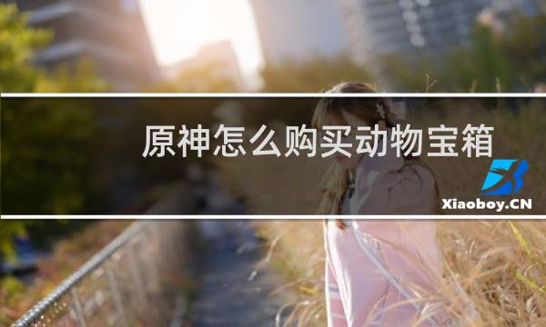 原神怎么购买动物宝箱