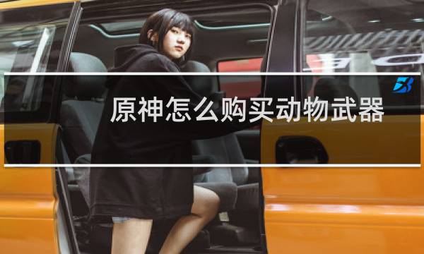 原神怎么购买动物武器