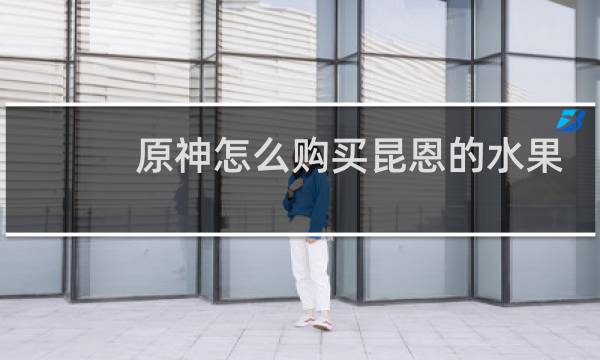 原神怎么购买昆恩的水果