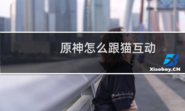 原神怎么跟猫互动