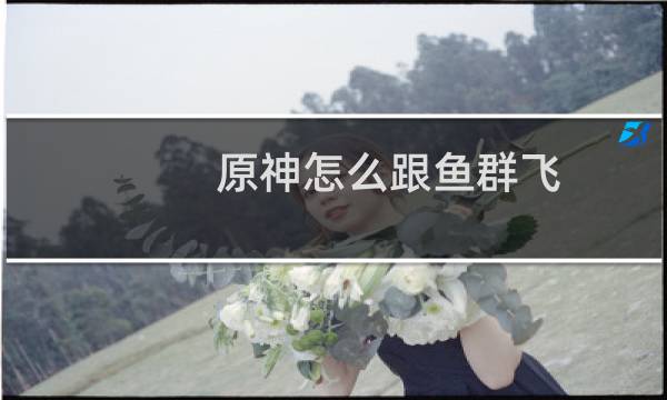 原神怎么跟鱼群飞