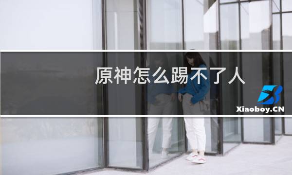原神怎么踢不了人