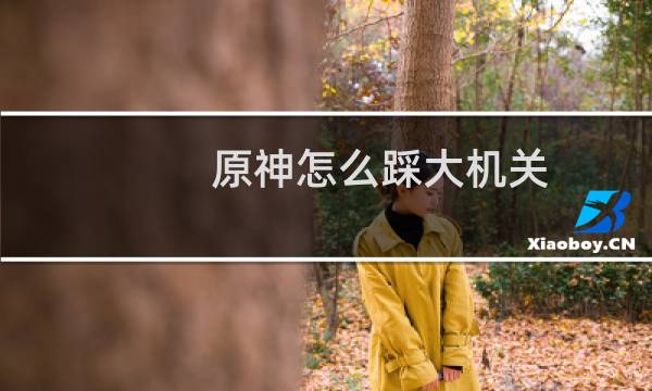 原神怎么踩大机关