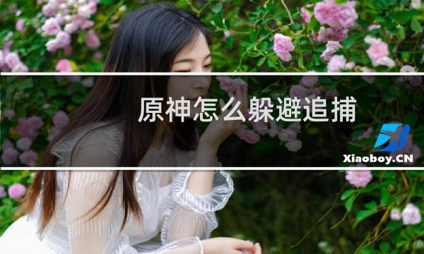 原神怎么躲避追捕