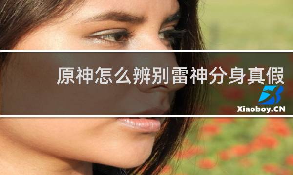 原神怎么辨别雷神分身真假