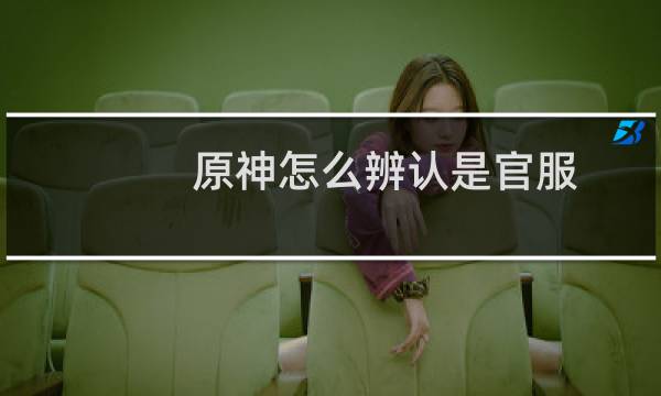 原神怎么辨认是官服