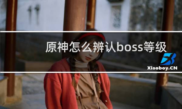 原神怎么辨认boss等级