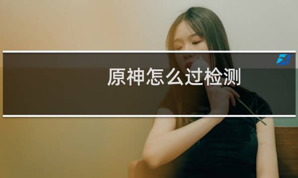 原神怎么过检测