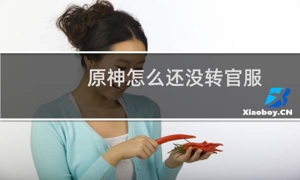 原神怎么还没转官服