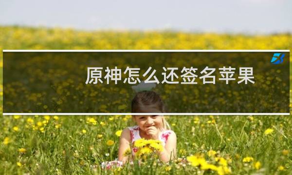 原神怎么还签名苹果