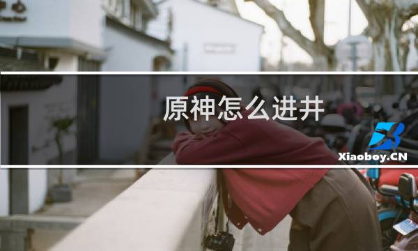 原神怎么进井