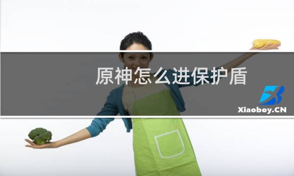 原神怎么进保护盾
