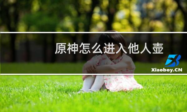 原神怎么进入他人壶