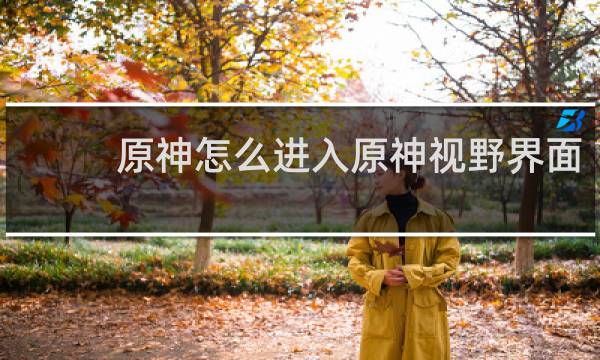 原神怎么进入原神视野界面