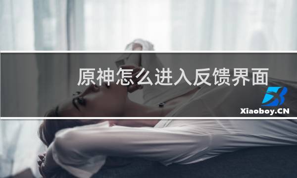 原神怎么进入反馈界面