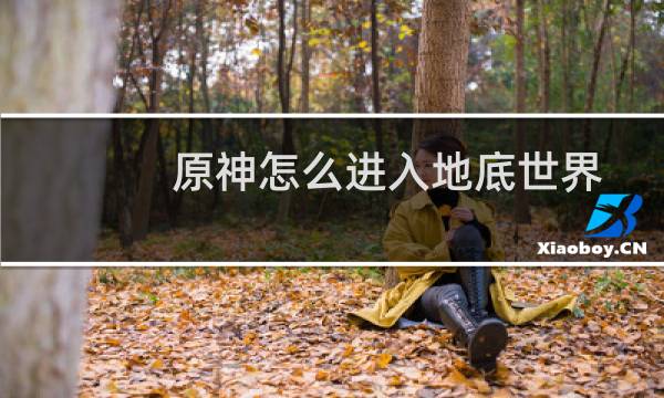 原神怎么进入地底世界