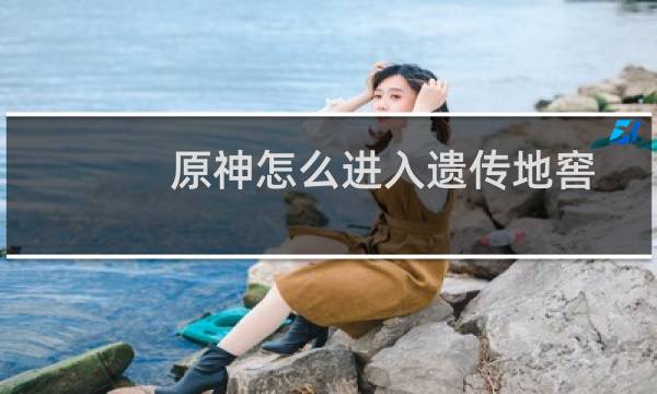 原神怎么进入遗传地窖