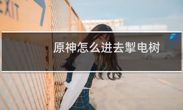 原神怎么进去掣电树