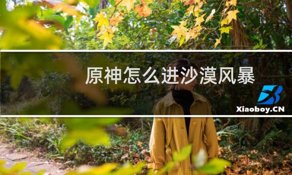 原神怎么进沙漠风暴