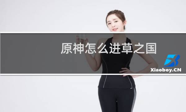 原神怎么进草之国