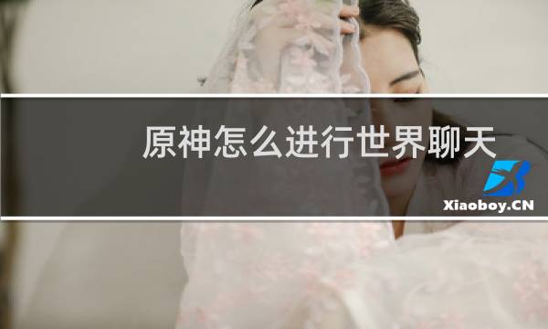 原神怎么进行世界聊天