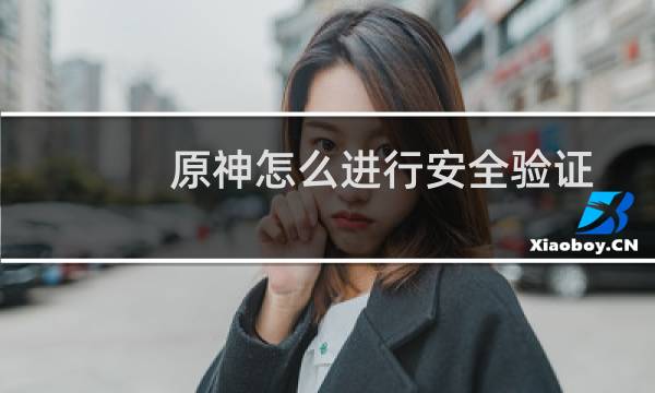原神怎么进行安全验证