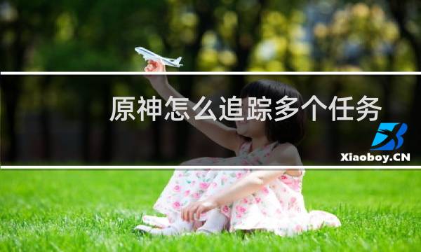 原神怎么追踪多个任务